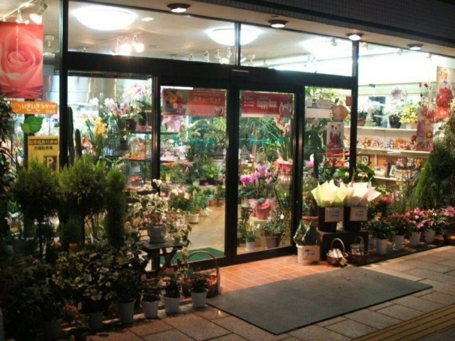 「花のみどりや 駅前本店」花いっぱいの「癒しの空間」へようこそ！
