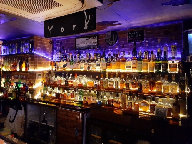 「バー ヨーク」津田沼の老舗BAR　美味しいカクテル＆ウイスキー　バー飯も好評！