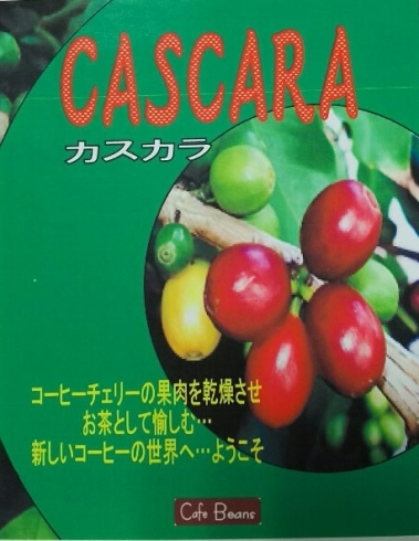 「【CASCARA／カスカラ】限定販売！」