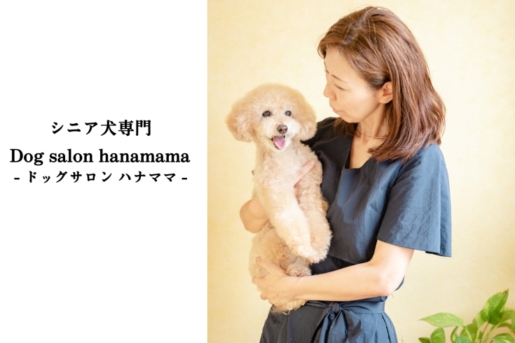 「シニア専門 Dog salon hanamama（ドッグ サロン ハナママ）」「シニア・ハイシニア犬対応」の完全予約制プライベートサロン