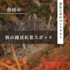 【静岡市】ここは押さえておきたい 絶景紅葉スポット