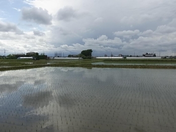 終点から見た風景