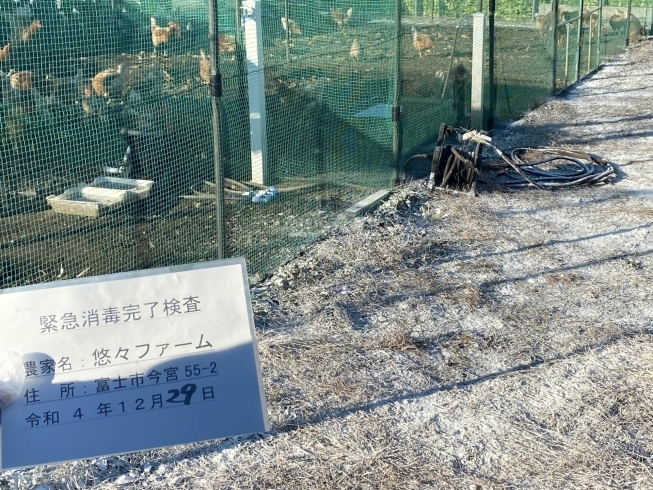 年末には鳥インフルエンザの事前消毒も行いました「謹賀新年【静岡県で青空飼育の養鶏場は悠GROUP 悠々ファームへ】」
