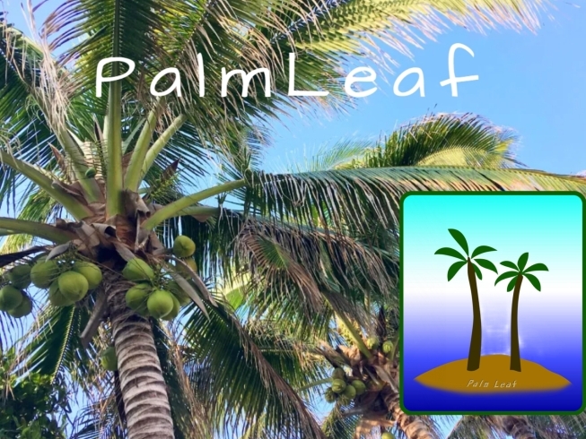 「PalmLeaf株式会社」グッとくる動画撮影から制作まで経験豊富なプロにお任せください