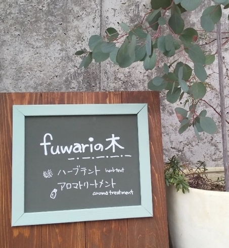 「fuwariの木」アロマトリートメント、ハーブテントサロンです！