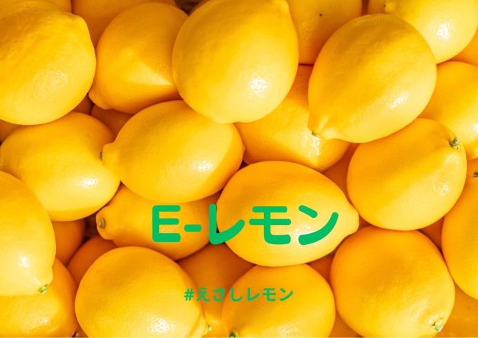 「IEKかんの花卉株式会社」奥州市えさし産「E-レモン」に夢を乗せて。