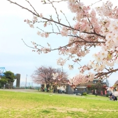 妙典公園｜市川