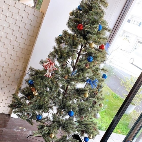 例年よりパワーアップしたクリスマスツリーが登場！「寒くなってきましたね～♪　11月キャンペーンのお知らせ～☆　プレシャスヘア春日井」