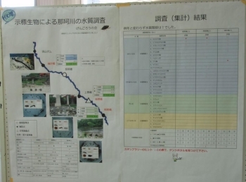 那珂川の水質調査結果