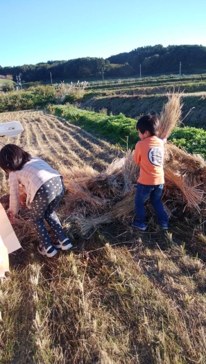 孫たちと楽しく収穫「平井有研農園」