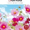 広報誌「広報さんだ」令和6年11月
