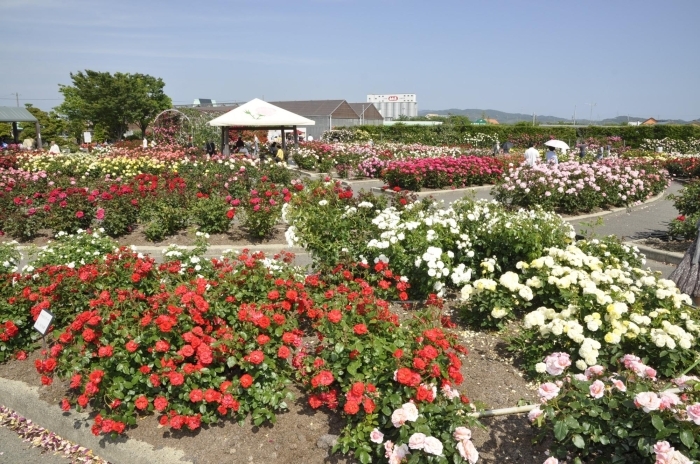 JA西三河 西尾市憩の農園