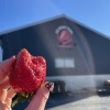 OZ BERRY FARM(鬼沢いちご園)