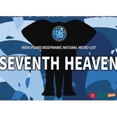 SEVENTH HEAVEN｜インド