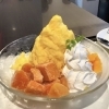 今年も「珈乃香」のかき氷の季節がやってきた!