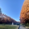 ■紅葉特集■【県立相模原公園の紅葉】四季を通じて花が楽しめる公園です♪