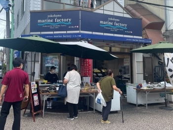 街のコミュニティ食堂として松原商店街を更に盛り上げていきます「横浜たにや yokohama marine factory」