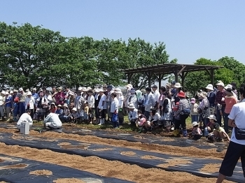 初めての方にも分かりやすく