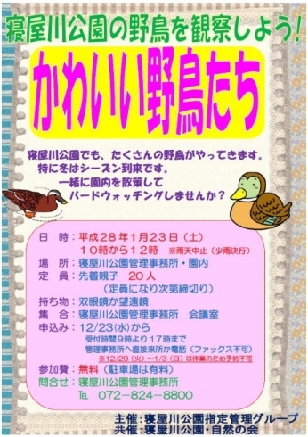 「♪～かわいい野鳥たち～♬　寝屋川公園の野鳥を観察しよう！」