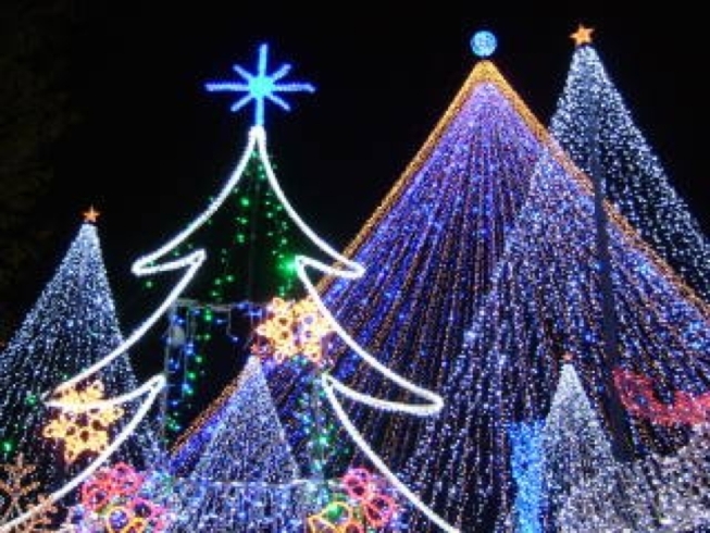 「メリークリスマス♪♪☆☆☆～広島県三次市で優雅な断食・半断食を「もねこハウス」でしませんか！」