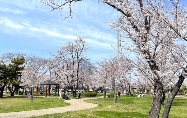 鈴鹿市・亀山市周辺のお花見・桜スポット
