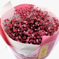チェリーかすみ草の花束(染めピンク)
