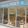 【新規オープン】Cat café MOFF イオンモール川口前川店
