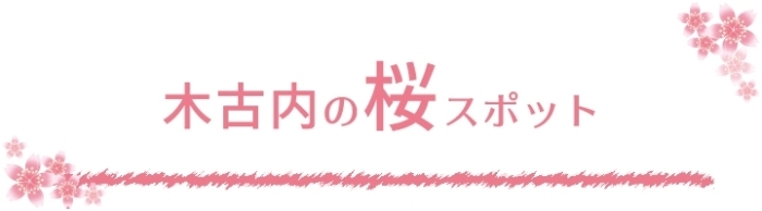 2023年　木古内　桜・花見スポット