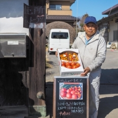 野本ファーム:埼玉県認証特別栽培農産物(こうのとり伝説米・トマト各種)