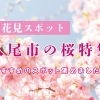 お花見するならここ!八尾市の“桜”特集【2026年】