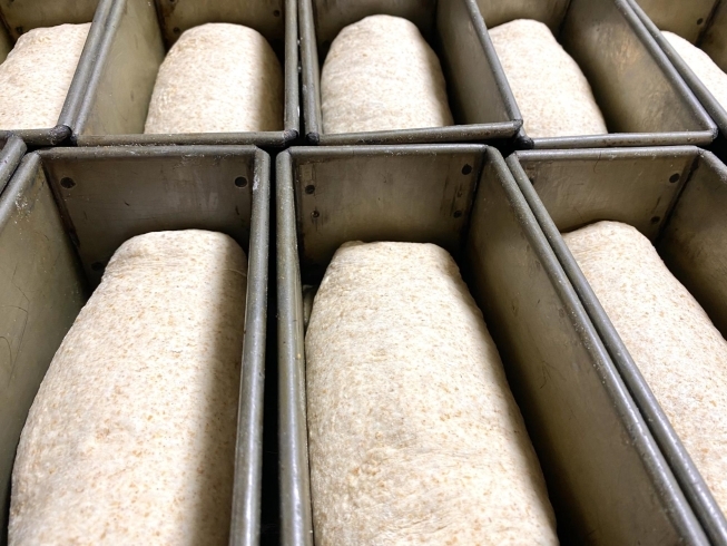 グラハムブレッドの生地「自家製酵母パン（札幌市西区西野ベーカリーベル本店）」
