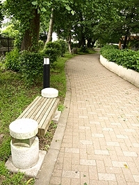 宮崎中学校に隣接する遊歩道。
桜やイチョウの大木が並び、静かな場所。