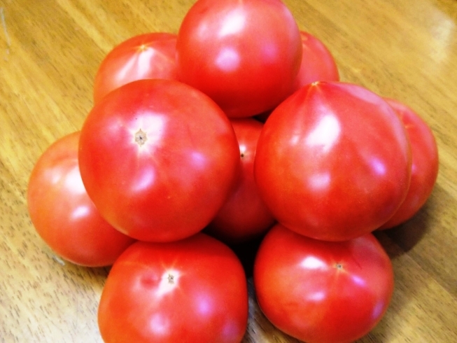 「三須トマト農園さんのトマトを提供しました！」