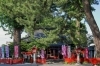 鴻神社にでかけよう