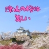 津山の桜は美しい!