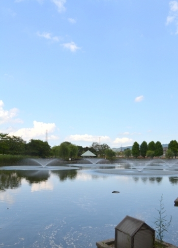 象鼻杯当日の弁天池の景色