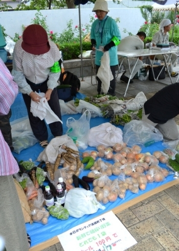 新鮮な朝採れ野菜の販売コーナー