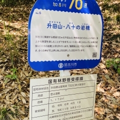 【加古川の隠れ名所】升田山と八十の岩橋を歩く ~神話と自然が交差する小さな冒険~