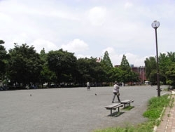 ボール遊びができるくらいの広場。