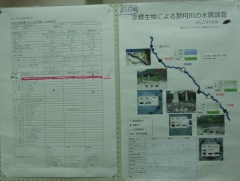 那珂川の水質調査結果