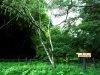 城山自然ふれあい水路