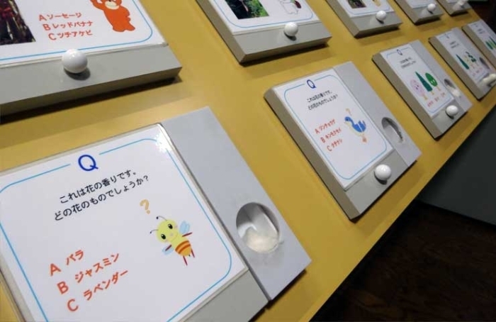 森の教室 展示室