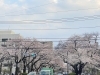 16号との交差点から