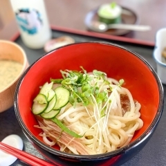 【鴻巣市】老舗うどん店「あたらしや」で味わう、手打ちうどんと埼玉の地酒
