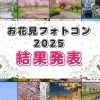 \結果発表/ まいぷれ川越周辺お花見フォトコンテスト2025