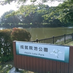成就院池公園