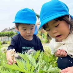 ママ・パパ必見! Mom’s sunの保育士コラム