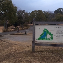 おゆみ野「四季の道」