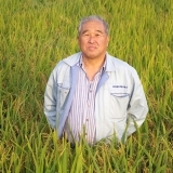 自然耕米（ナスアグリ）　澤田吉夫さん