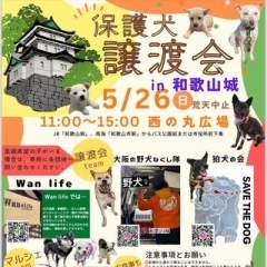【イベント告知】保護犬譲渡会が和歌山城で開催！